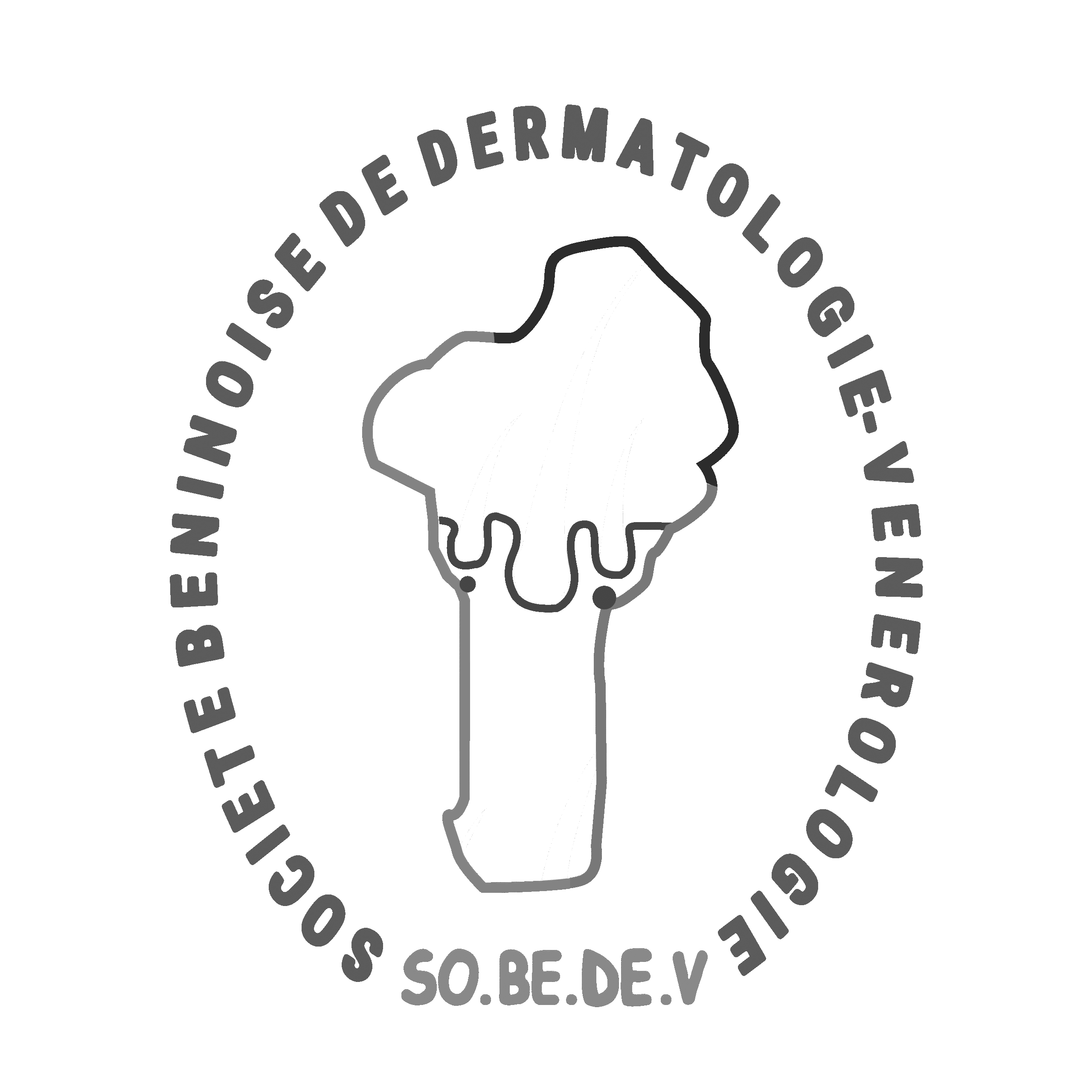 Les JBDV : Al llevar la dermatología a la era digital en Benín, esta plataforma reinventa la experiencia de las conferencias.