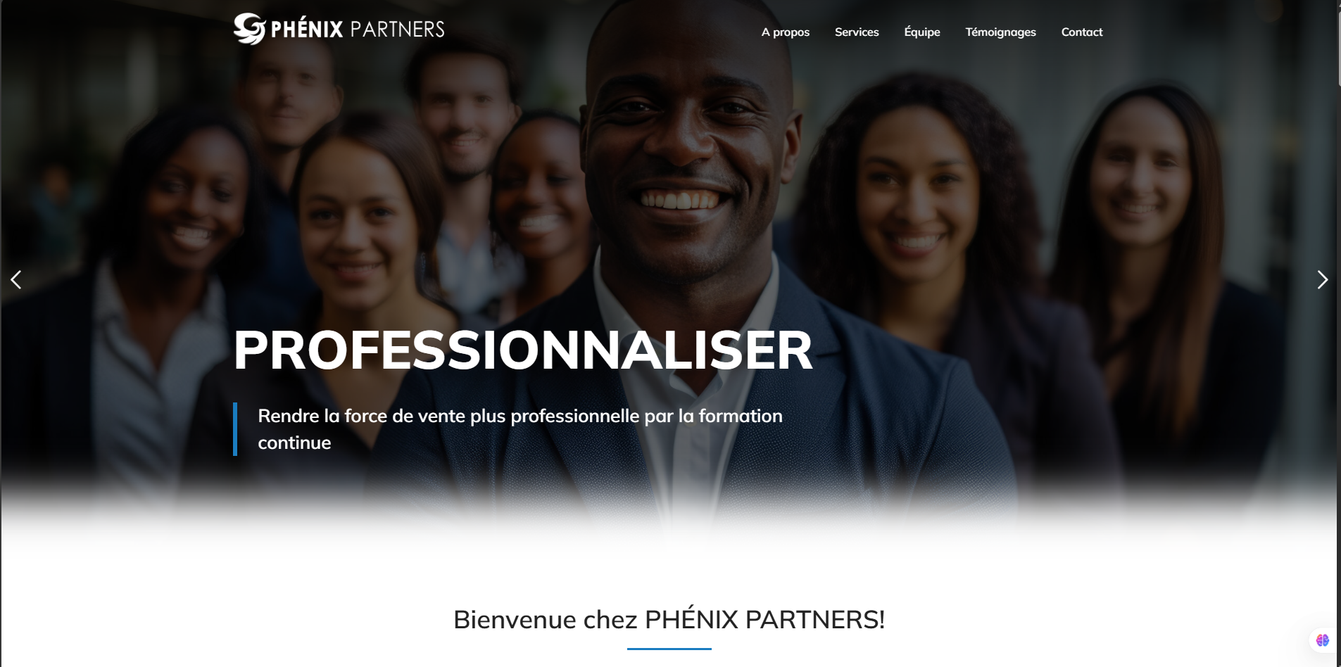 Phenix partners grp