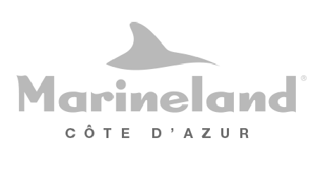 Marineland Côte d'Azur : Marineland Côte d’Azur es un sitio web dedicado a presentar el parque y sus experiencias únicas.