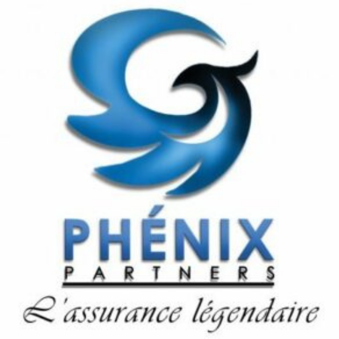 Phenix Partners Grp : Phenix Partners Grp est une entreprise de délégation médicale spécialisée dans le placement de produits issus de divers labo. 